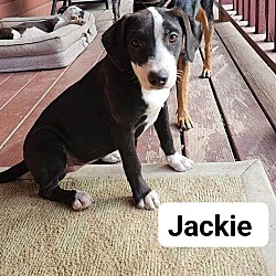 Thumbnail photo of Jackie #2