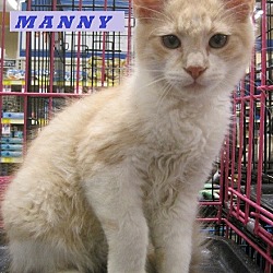 Thumbnail photo of Manny #1