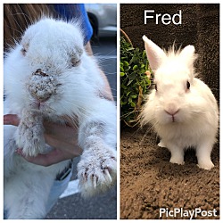 Thumbnail photo of Fred #4