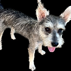 Photo of Rudy