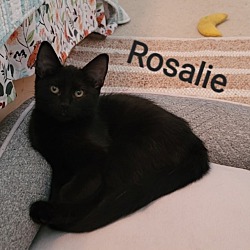 Photo of Rosalie