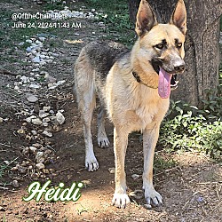 Photo of Heidi