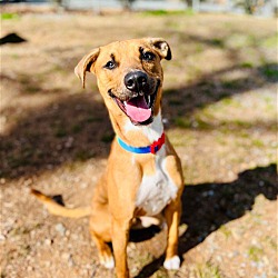 Photo of Relish