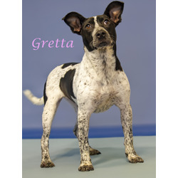 Thumbnail photo of Gretta (D24-079) #3