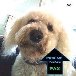 Thumbnail photo of Pax #1