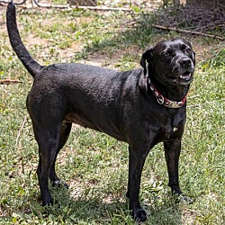 Thumbnail photo of Momma “Iris” #1