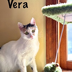 Thumbnail photo of VERA #3
