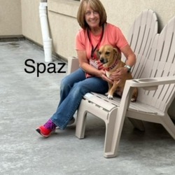 Thumbnail photo of Spaz #1