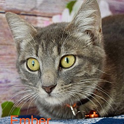 Thumbnail photo of Ember #4