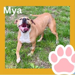 Thumbnail photo of Mya #3