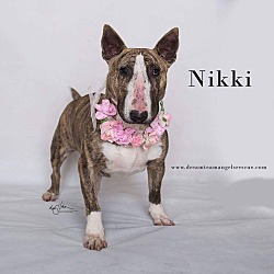 Photo of Nikki