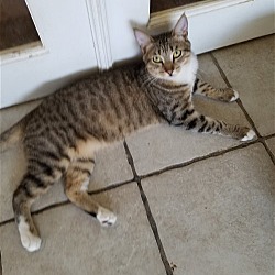Photo of There's a new boy in town Jackson