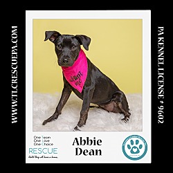 Thumbnail photo of Abbie Dean 081724 #2