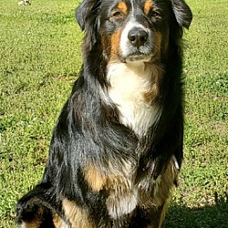 Photo of McCoy