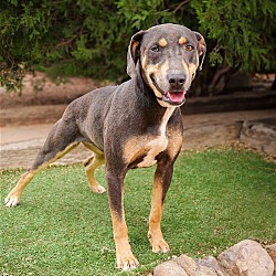 Thumbnail photo of Ethereal Ms Erin ~ Beautiful Blue Lacy ! #3