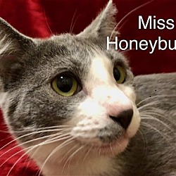 Thumbnail photo of Miss Honeybunch at Martinez PFE   May 25th #2