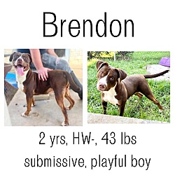 Photo of Brendon