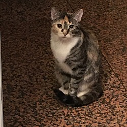 Photo of Taffy