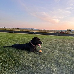 Photo of Coco