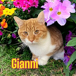 Photo of Gianni (Versace)