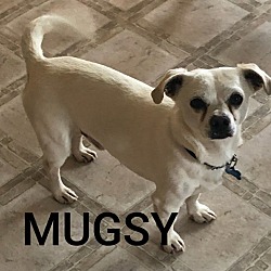 Photo of Mugsy