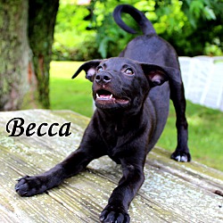 Thumbnail photo of Becca ~ meet me! #3