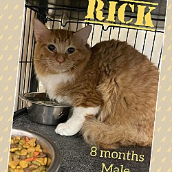 Photo of Rick