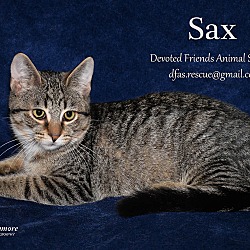 Thumbnail photo of Sax #1