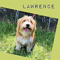 Thumbnail photo of LAWRENCE #1