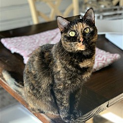Photo of Reeses