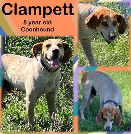 Photo of Clampett
