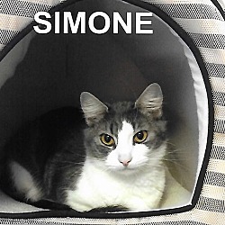 Thumbnail photo of Simone #1