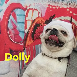 Thumbnail photo of Adorable Dolly #4