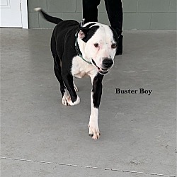 Photo of Buster Boy