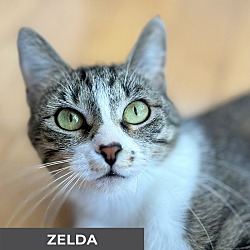 Thumbnail photo of Zelda #1