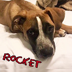 Thumbnail photo of Rocket #1