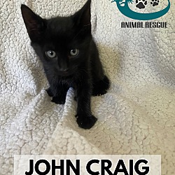 Thumbnail photo of John Craig #3