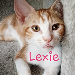 Thumbnail photo of Lexie #1