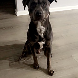 Photo of Teddy