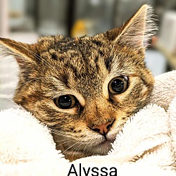 Photo of Alyssa