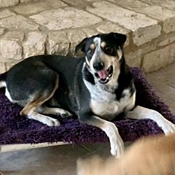 Thumbnail photo of Bullet #1
