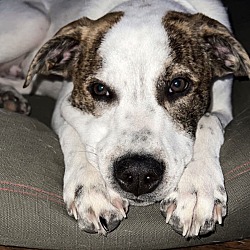 Photo of Freddie