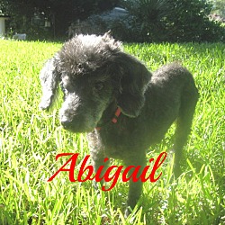 Thumbnail photo of Abigail #2