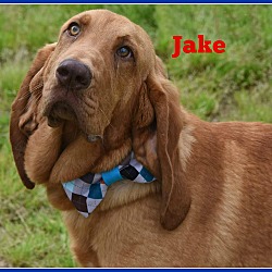 Thumbnail photo of Jake from State Farm #2