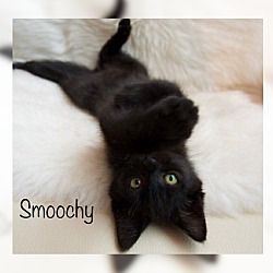 Photo of Smoochy