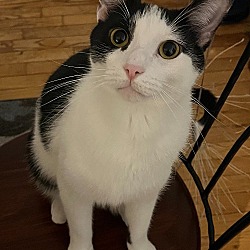 Photo of Zip (aka Jerry)