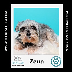 Thumbnail photo of Zena (Bonded Pair with Sweet Pea) 030224 #4