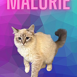 Photo of Malorie