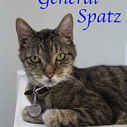 Thumbnail photo of General Spatz #1