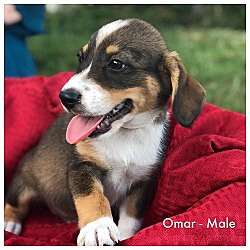 Thumbnail photo of Omar #1